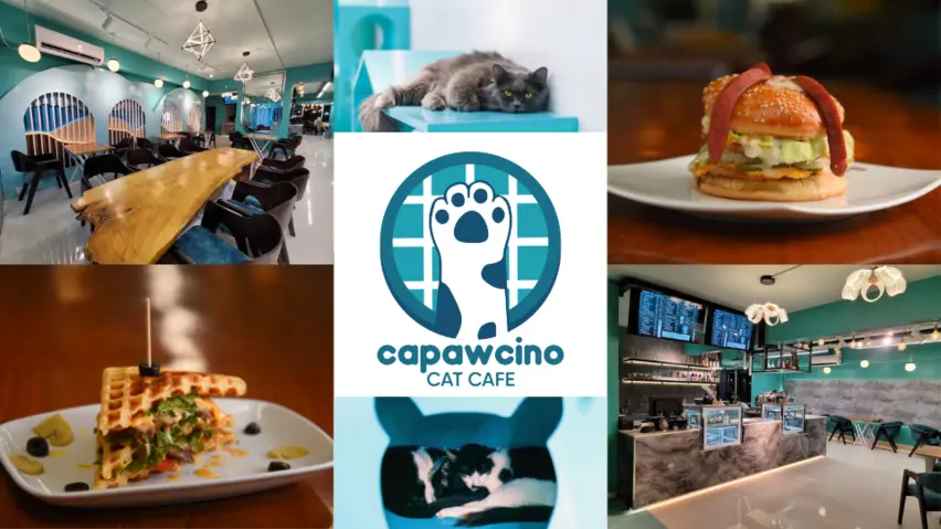 Capawcino Cat Cafe in Dhanmondi: Cafe & Cat Cuddles