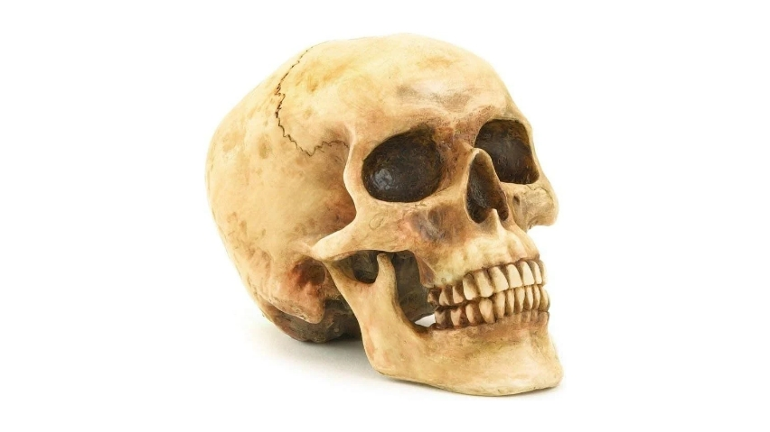 Spooky Yet Stylish: Halloween Decor Picks for 2024