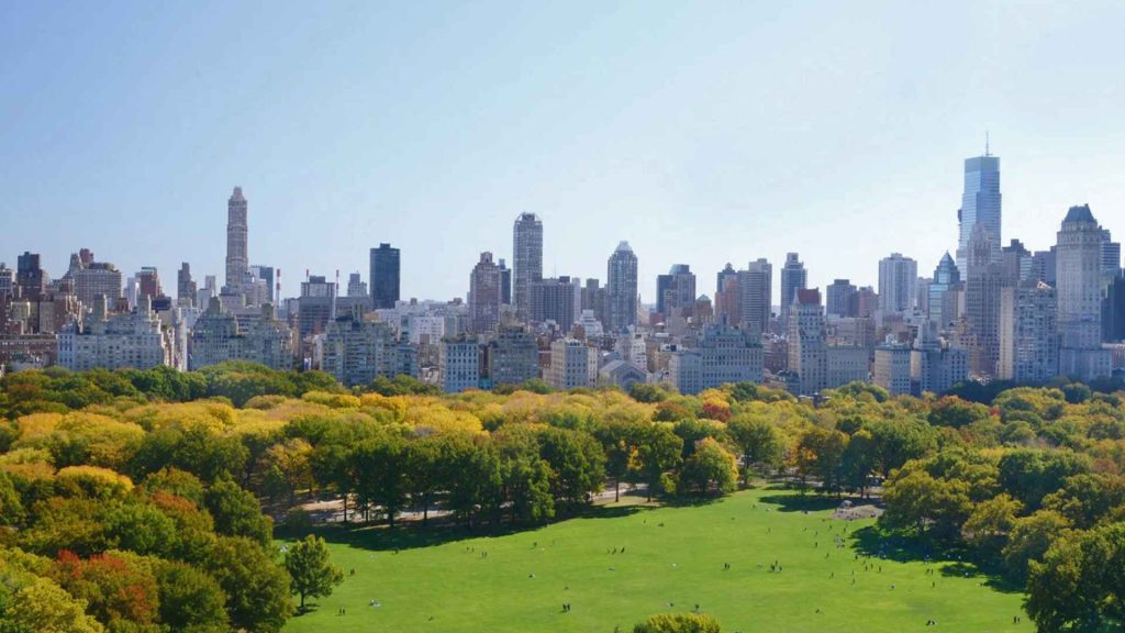 Valentine’s Day stroll in Central Park, NYC